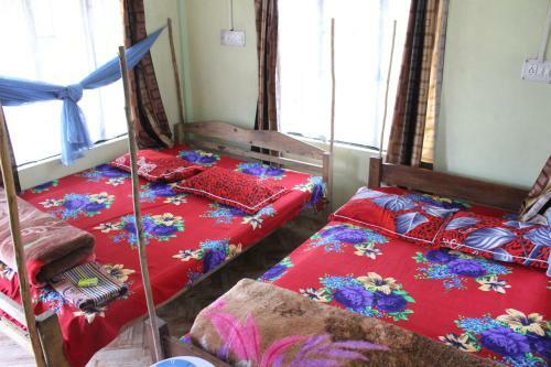 Pumpkin Hala Rympei Homestay