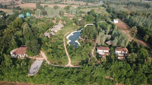 Hotel Tendu Leaf Jungle Resort