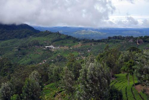 Lodge Purple Munnar