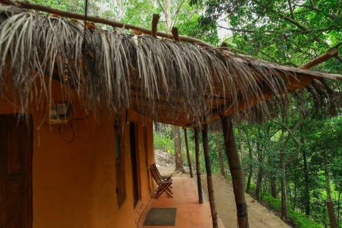 Golden Fern Eco Stay