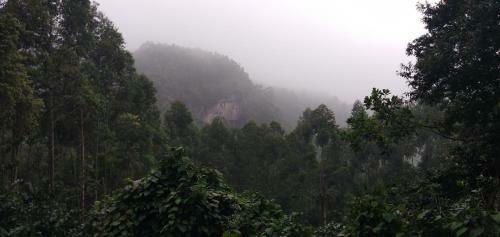 Golden Fern Eco Stay