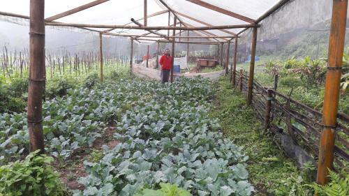 Agroturismo Yangsum Heritage Farm