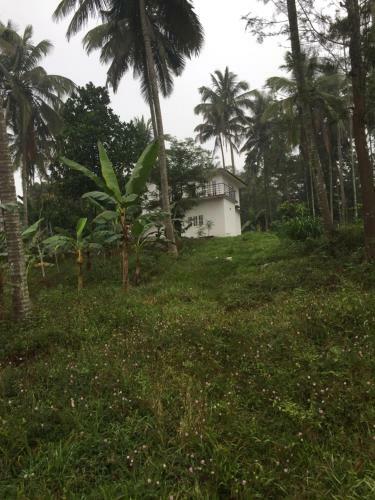 Villa Exuberance