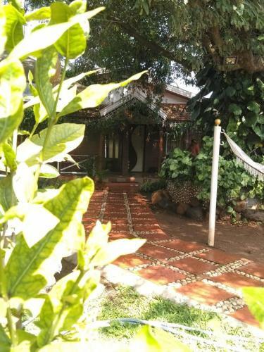 Mountain Valley Homestay