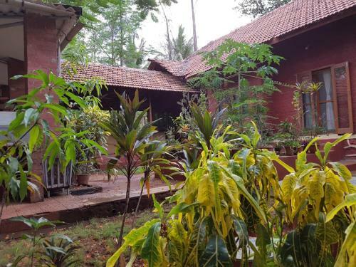 Rippling Edge Gadhok Cottage