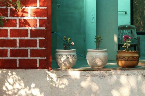 Rippling Edge Gadhok Cottage