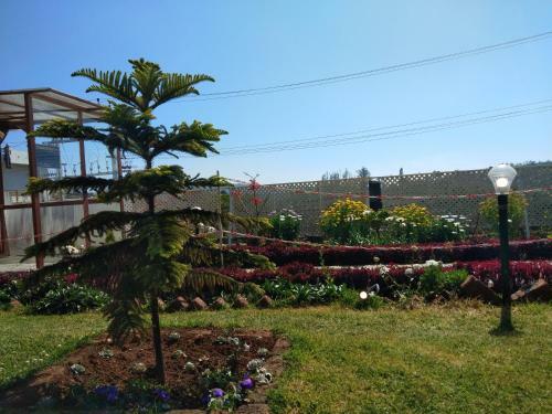 Hotel Drizzle Drop Inn