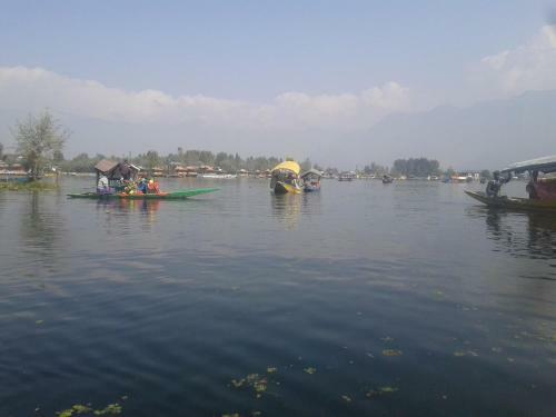 S Group Of Houseboat