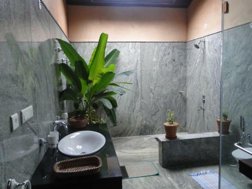 Hotel Wild Woods Resort