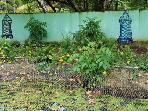 Agroturismo Pranavam Munroe Verdure