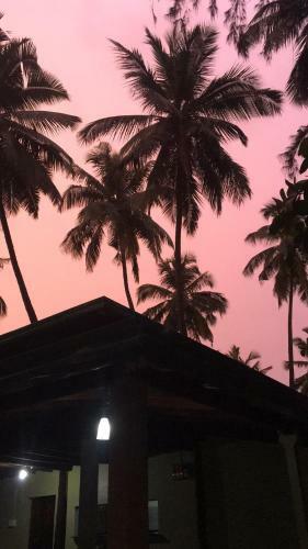 Hotel Ombodhi Retreat