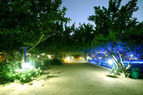 Hotel Baghdera Resort