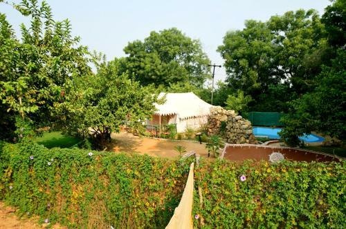 Hotel Baghdera Resort