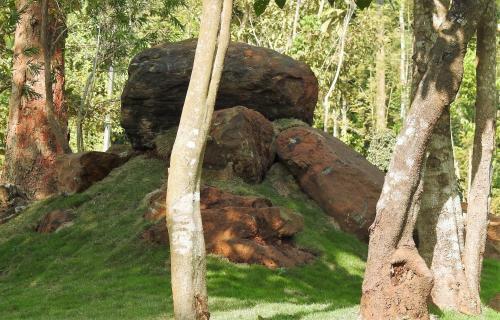 Aclat Meadows, Sakleshpur