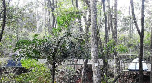 Aclat Meadows, Sakleshpur