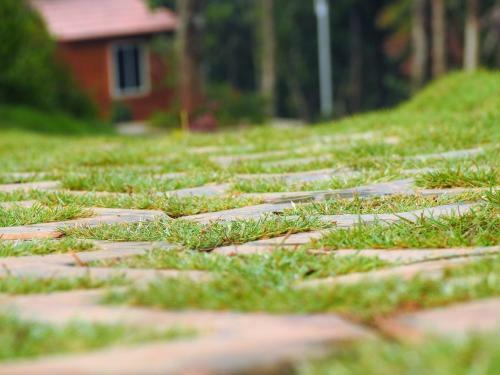 Aclat Meadows, Sakleshpur