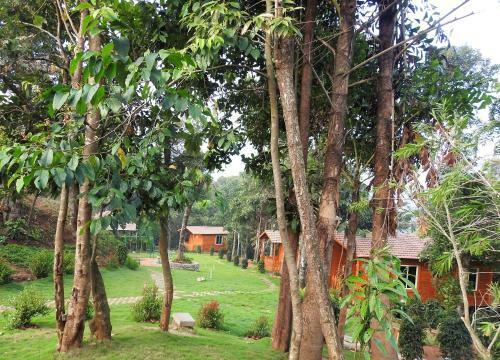 Aclat Meadows, Sakleshpur