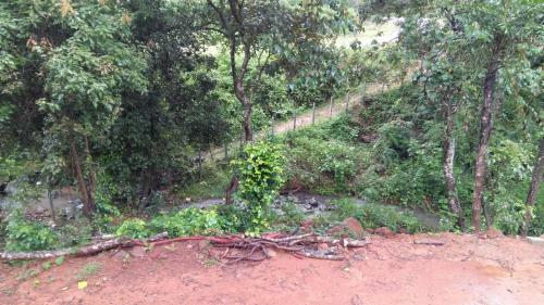 Aclat Meadows, Sakleshpur