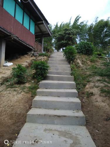 Vamoosetrail Ziro(4)