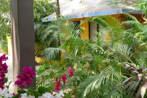 Mango Farm House Awas Alibaug