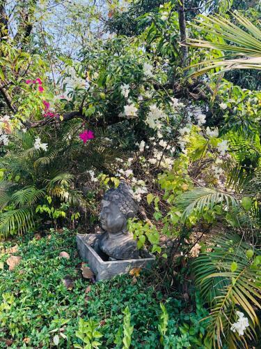 Mango Farm House Awas Alibaug