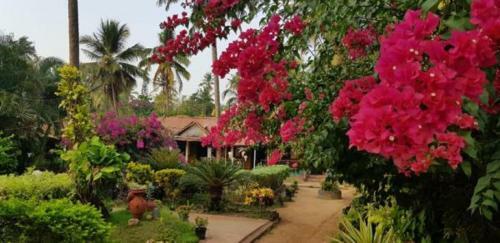 Hotel Kerala Bamboo House