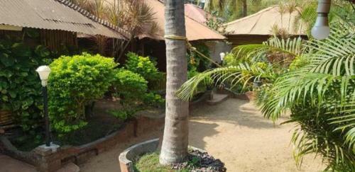 Hotel Kerala Bamboo House