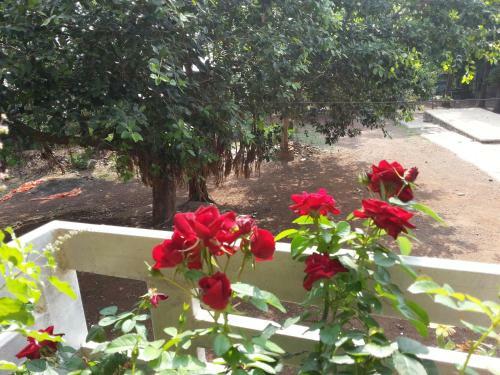 Maharaja Home Stay Panhala