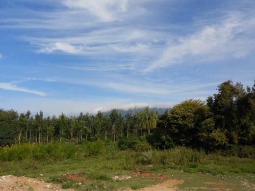Halenahalli Home Stay