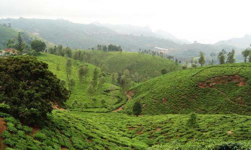 Hotel Heaven11ooty