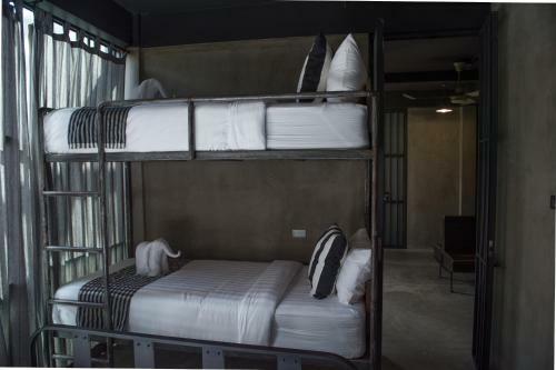 The Pushkar Ramblers Hostel