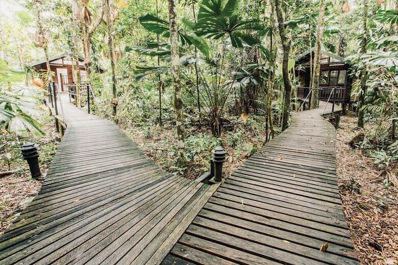Hotel Daintree Wilderness Lodge