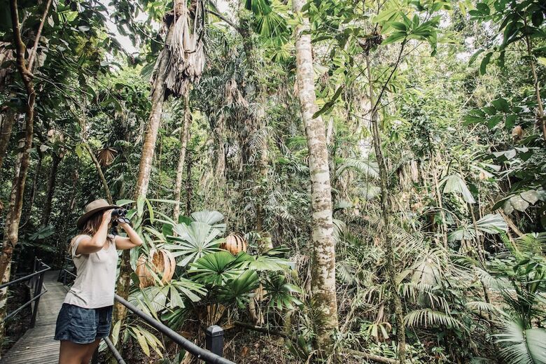Hotel Daintree Wilderness Lodge
