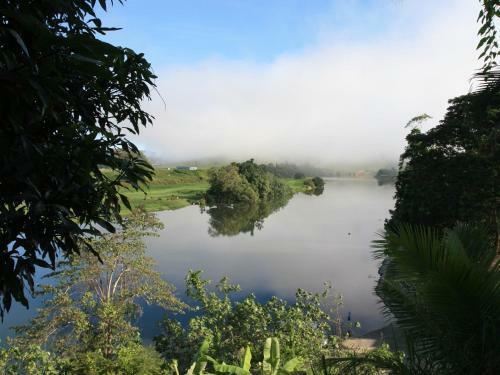 Daintree Village Bed And Breakfast