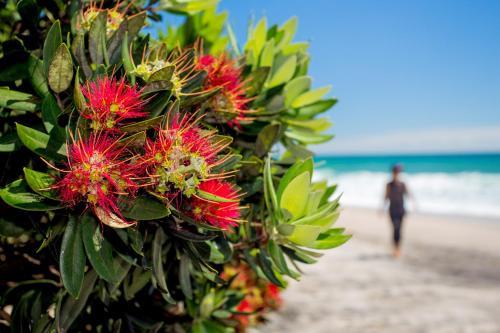 Beachaven Kiwi Holiday Park