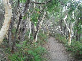 Sanddancers Bed & Breakfast In Jervis Bay