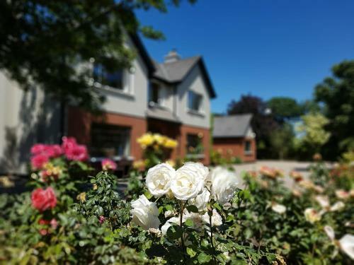 Groveside Farm B&B