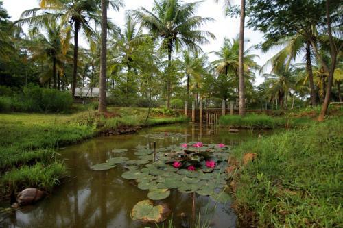 Hotel Shreyas Yoga Retreat, Bangalore