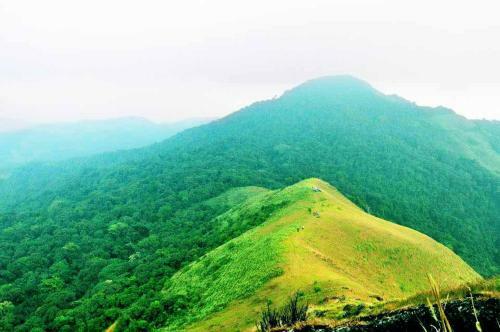Gowdahalli Forest - Sakleshpur