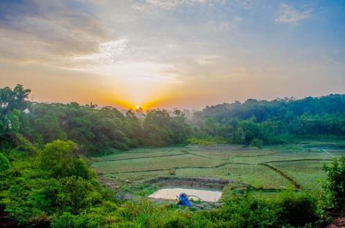 Gowdahalli Forest - Sakleshpur