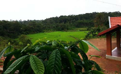 Gowdahalli Forest - Sakleshpur