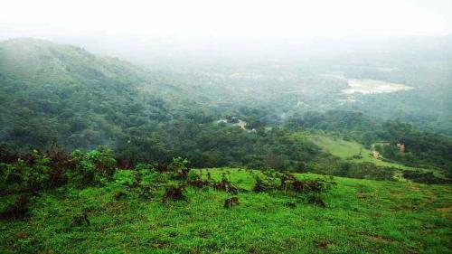Gowdahalli Forest - Sakleshpur