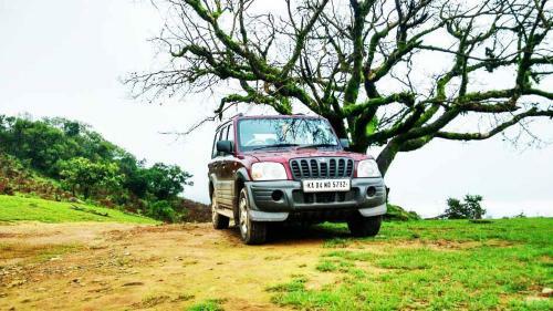 Gowdahalli Forest - Sakleshpur