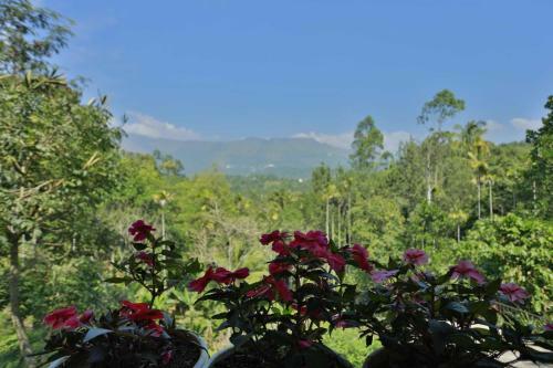 Villa Himmelberg Nature Retreat