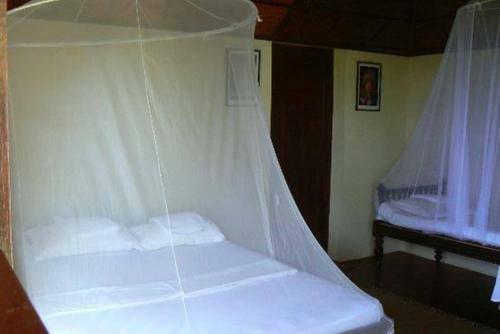 Hotel Bio Veda Ayurvedic Hill Resort