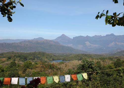 Hotel Bio Veda Ayurvedic Hill Resort