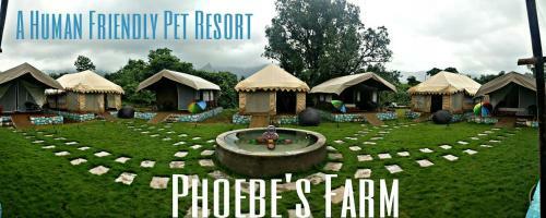 Agroturismo Phoebe's Farm