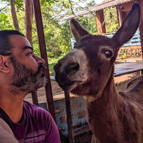 Agroturismo Phoebe's Farm