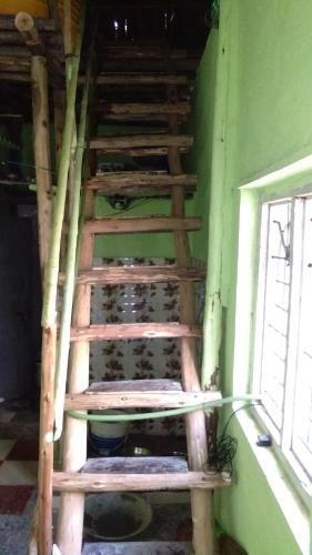 Hostal Backpakers House Hampi