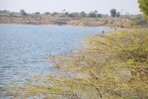 Hotel Sinny's Leopard Camp & Resort